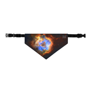 Rose of the Cosmos Collar